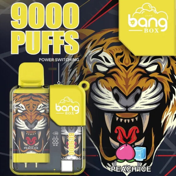 Bang Box 9000 Rookwolken 0% 2% 3% 5% Nicotine Oplaadbare LED Pover Display Wegwerp Vape Groothandel - JumpVape - 2