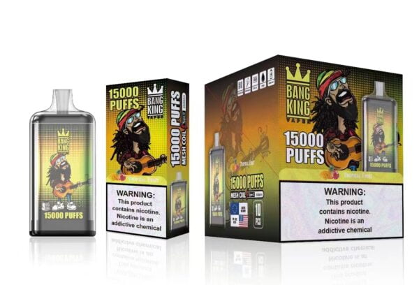 Bang King 15000 Puffs 0% 2% 3% 5% Nicotine Rechargeable Disposable Vape Wholesale - JumpVape - 17