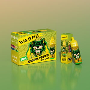 WASPE 12000 PUFFS 0% 2% 3% 5% Nikotino vienkartinių Vape Didmeninė prekyba – JumpVape – 17