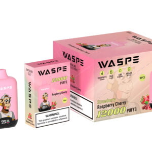 WASPE 12000 PUFFS Digitale Box 0% 2% 3% 5% Nicotine Wegwerp Vape Groothandel - JumpVape - 12