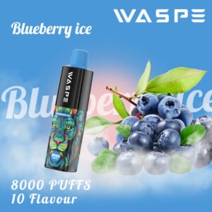 WASPE 8000 PUFFS 0% 2% 3% 5% Nikotino vienkartinių Vape Didmeninė prekyba – JumpVape – 12