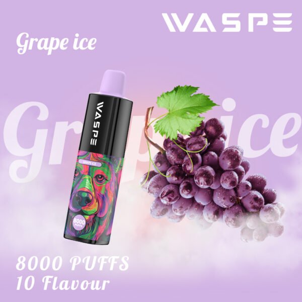 WASPE 8000 PUFFS 0% 2% 3% 5% Nikotino vienkartinių Vape Didmeninė prekyba – JumpVape – 5