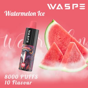 WASPE 8000 PUFFS 0% 2% 3% 5% Nikotino vienkartinių Vape Didmeninė prekyba – JumpVape – 13