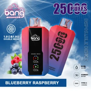 Bang 25000 Puffs 0% 2% 3% 5% Alacsony nikotin tartalmú újratölthető eldobható Vapes toll Tömeges vásárlás Nagyker - JumpVape - 14