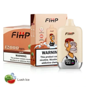 FIHP 12000 Puffs 2% 5% Low Nicotine Rechargeable Disposable Vapes Pen Bulk Buy Wholesale - JumpVape - 12