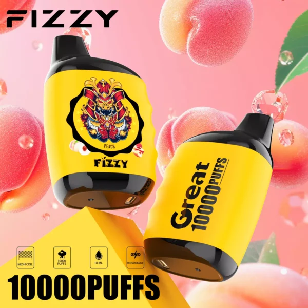 Fizzy Great 10000 Puffs 2% 5% Low Nicotine Rechargeable Disposable Vapes Pen Bulk Buy Wholesale - JumpVape - 6